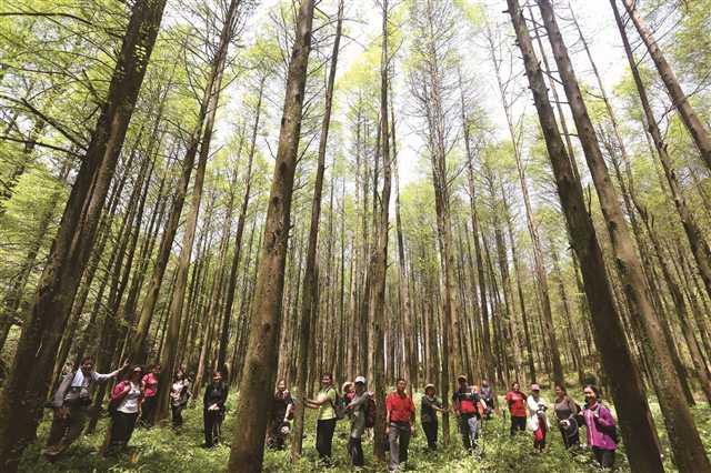 到黔江喚起腦海深處的鄉愁記憶
