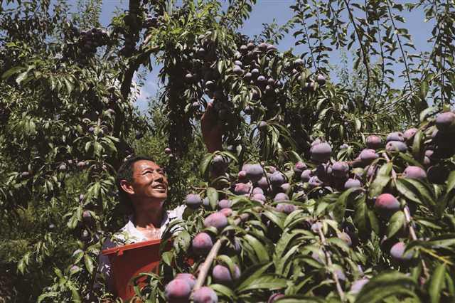 到黔江喚起腦海深處的鄉愁記憶