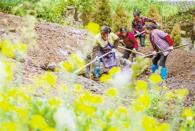 習總視察關懷的華溪村